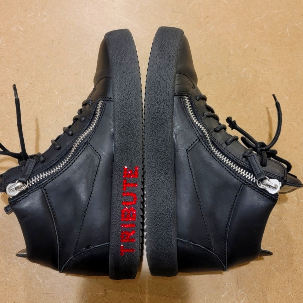 Giuseppe Zanotti's